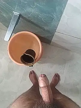 Desiandaj webcam