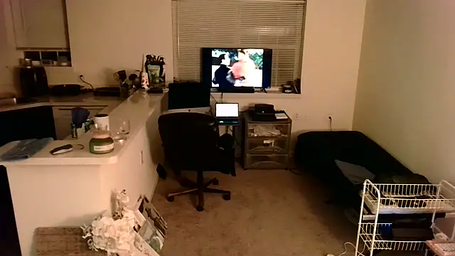 Q1357q webcam