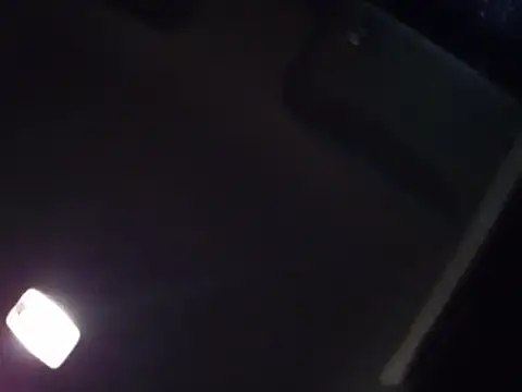 dustbunny64 webcam