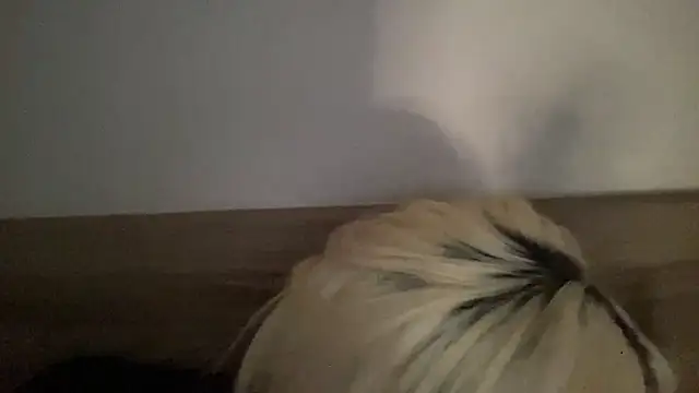 Limavasconceloss webcam