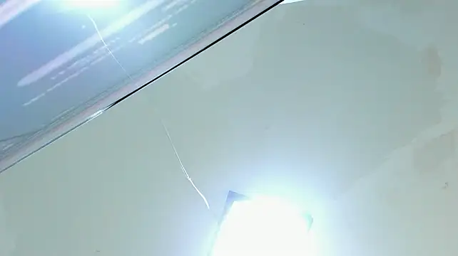 ren_flex webcam
