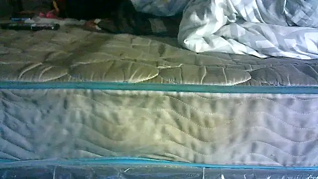 CR3M3_FIR3 webcam