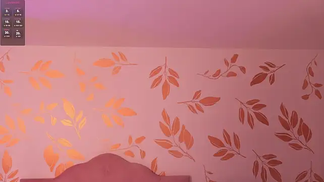 alix_bay webcam