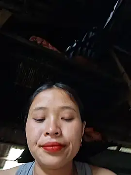 Liss-mimi webcam