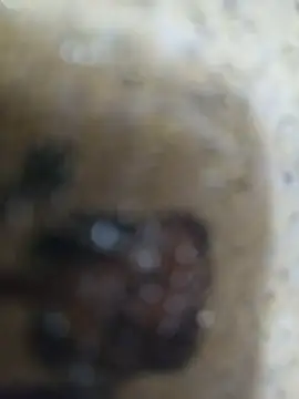 amirmohamed58 (M twink) - #arab #big-cocks #cam2cam #cheapest-privates #egyptian #flashing #hd #massage #masturbation #medium #straight #twinks