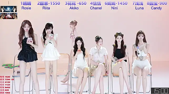 TNT-cdc webcam