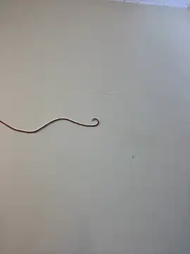 99_Lilith webcam