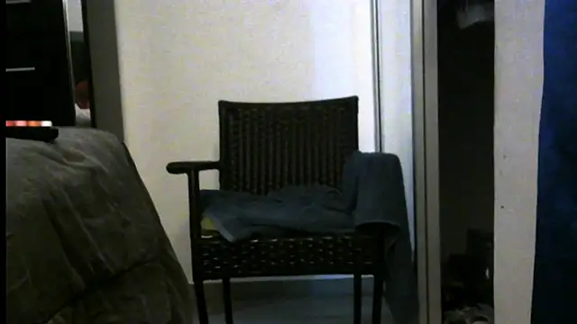 3LEGSSS webcam