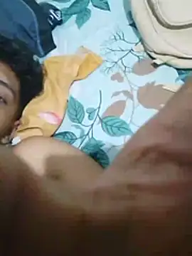 Noscay webcam
