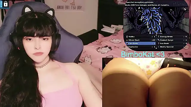 BimboCat webcam
