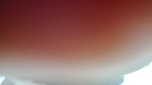 coco-LL webcam