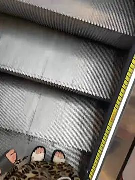 littleqiu webcam