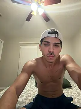 WavyAlloy30 webcam