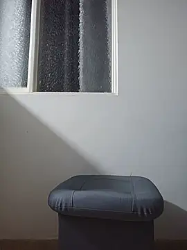 bscc webcam