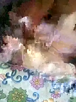 8414033011_wpp webcam