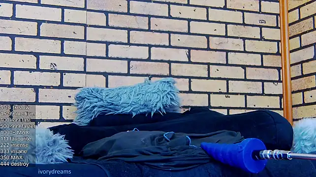 IvoryDreams webcam