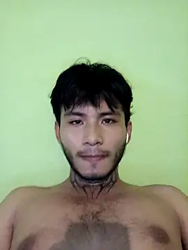 355kl webcam