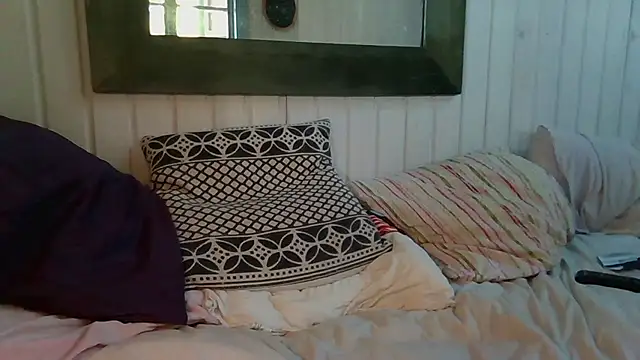 Stock-Holmes webcam