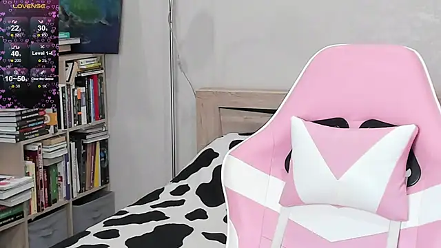 bbJ_one webcam