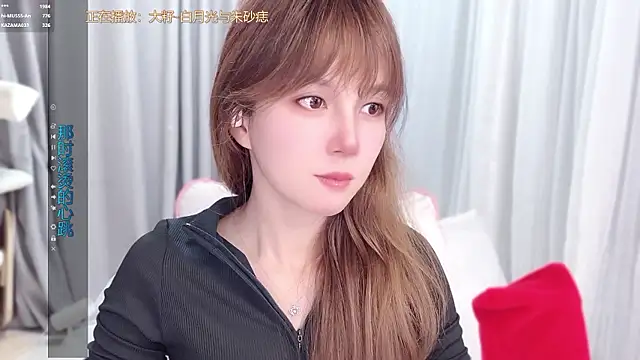 hi-AnAn webcam
