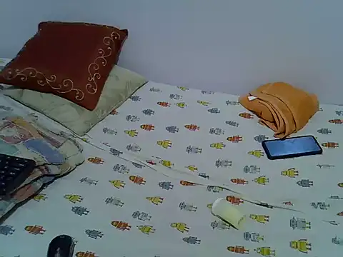 playfullnova webcam