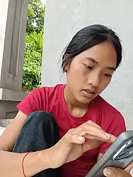 Hoa-tuylip