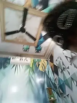 Model_0088 webcam