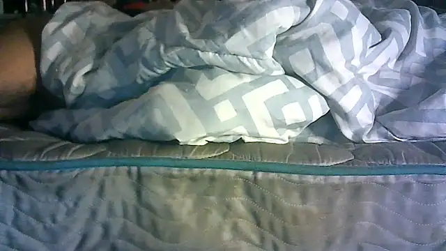 CR3M3_FIR3 webcam