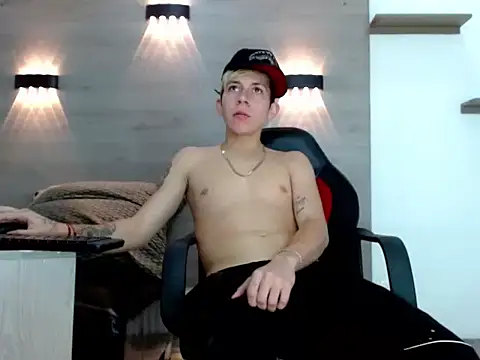 Gaeliitto webcam