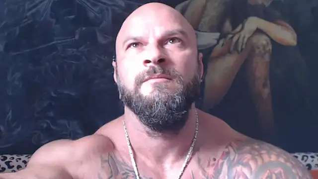 viking_30 webcam