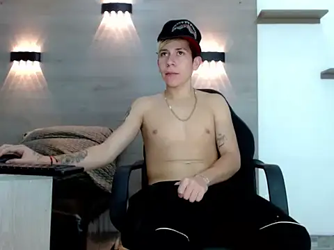 Gaeliitto webcam