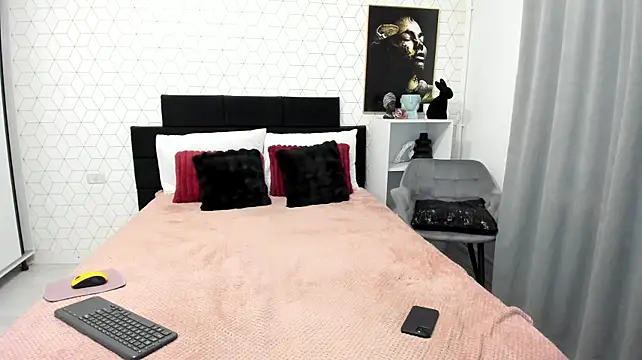 Heidix webcam
