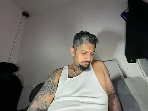 Vision1285 webcam