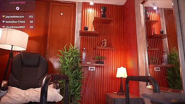 David_capizzi_ webcam