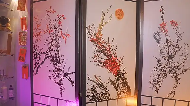 Greiz_SubKimura webcam