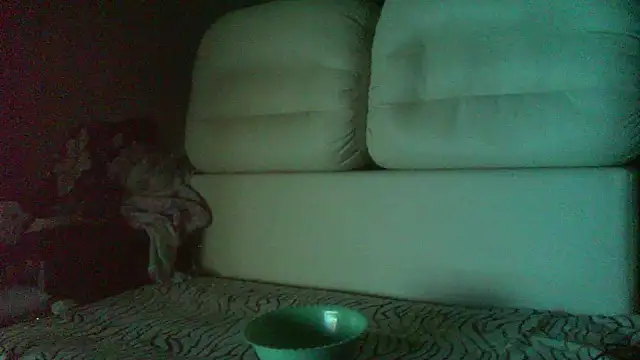 547animeboy webcam