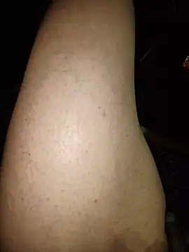bfs26 webcam