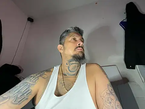 Vision1285 webcam