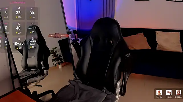 evazul webcam