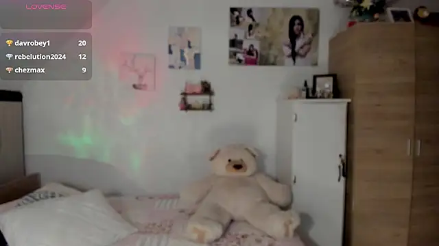 Veronikolsen- webcam