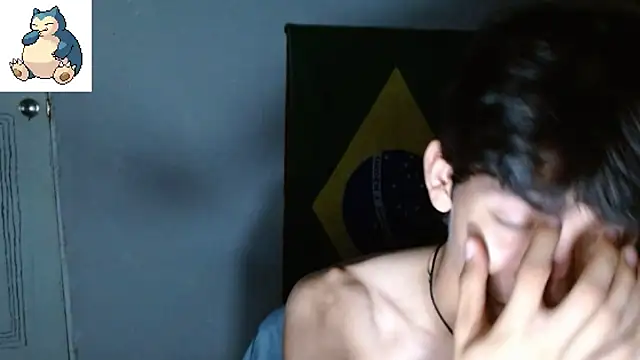VAZAK webcam