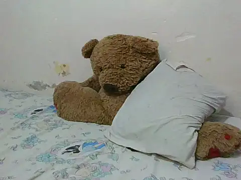 shugabaibe webcam
