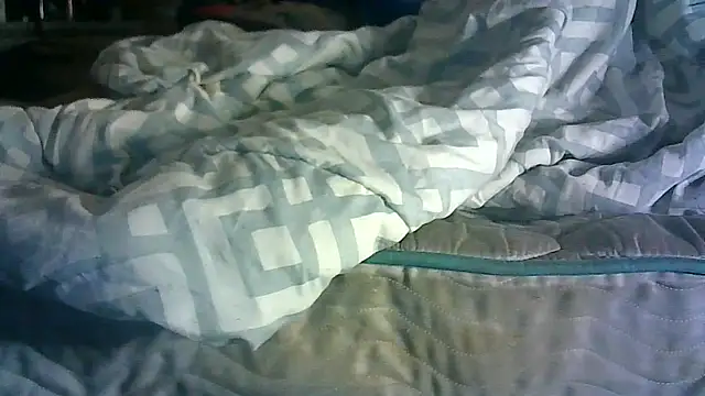 CR3M3_FIR3 webcam