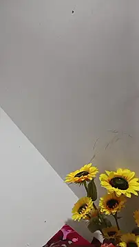 Anuraagi webcam