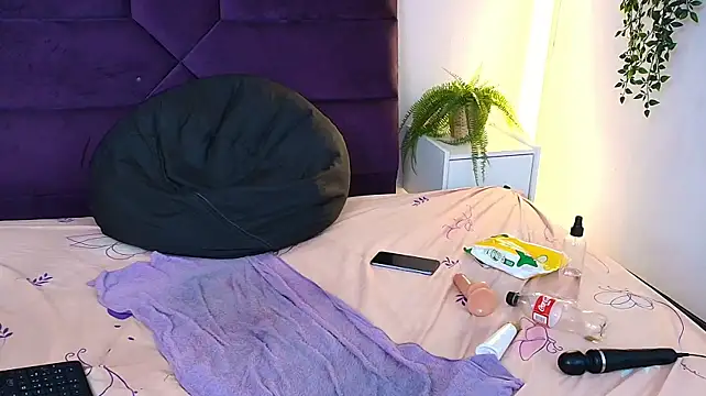 Nalapalmer webcam