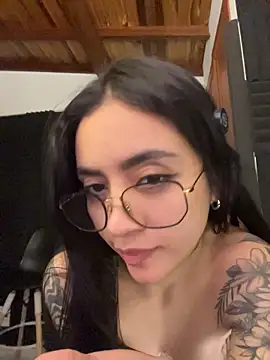 _iink_ webcam
