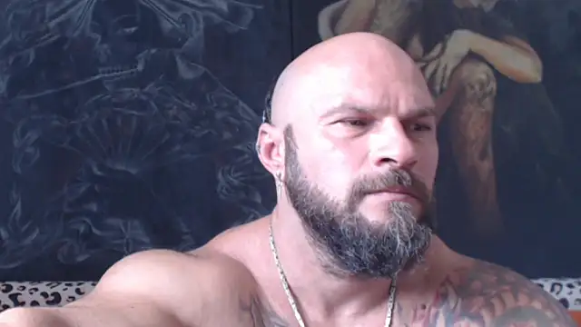 viking_30
