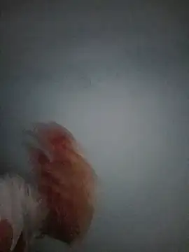 TropicalFlower webcam