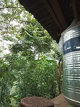 Td3di webcam