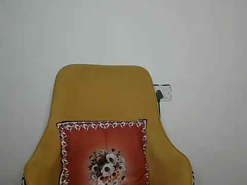 Mehu_ webcam